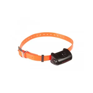 Collar Adicional Remoto Adiestramiento Canicom 5